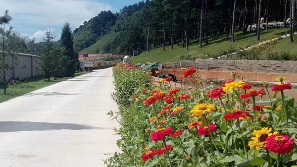 �ļ�����